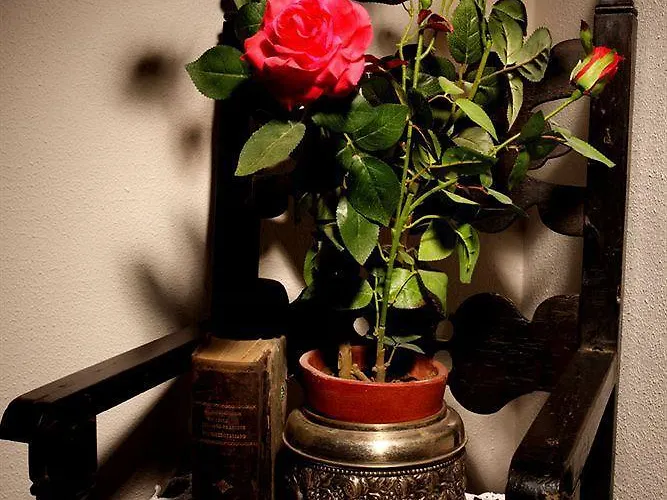 Frühstückspension C'era Volta